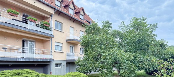 2 rooms Apartment in Seltz, France No. 282818 18