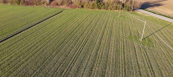  Land in Ferrara, Italy No. 342466 2