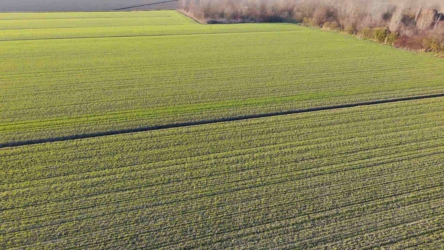  Land in Ferrara, Italy No. 342466