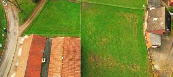  Land in Minden-Lubbecke, Germany No. 318424 3