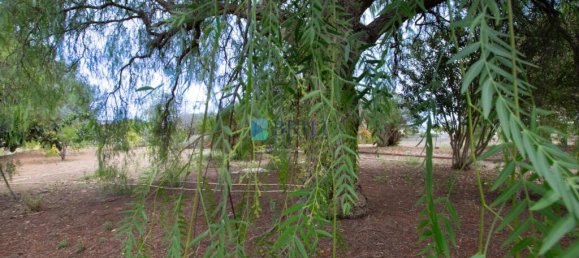 1 غرف نوم فيلا في Sassari, Italy رقم 326995 32