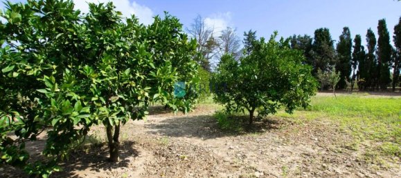 1 غرف نوم فيلا في Sassari, Italy رقم 326995 28