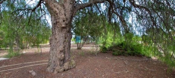 1 غرف نوم فيلا في Sassari, Italy رقم 326995 33