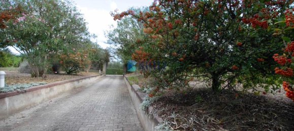 1 غرف نوم فيلا في Sassari, Italy رقم 326995 37