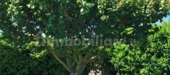 2 bedrooms Villa in Fiumicino, Italy No. 13609 14