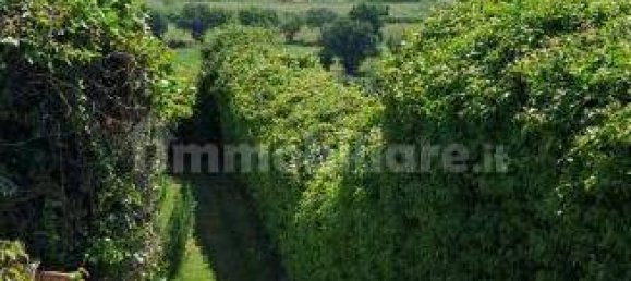 2 bedrooms Villa in Fiumicino, Italy No. 13609 13