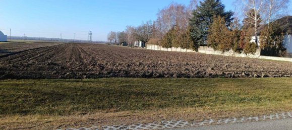  Land in Pama, Austria No. 152466 3