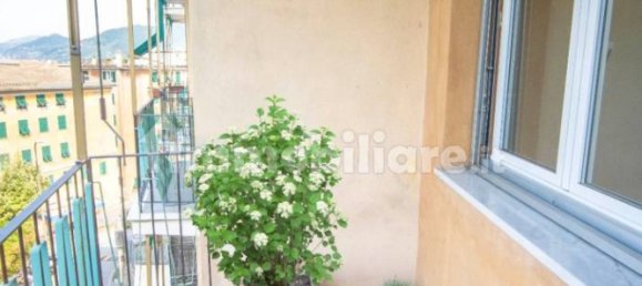 2 غرف نوم شقة في Camogli, Italy رقم 302609 23