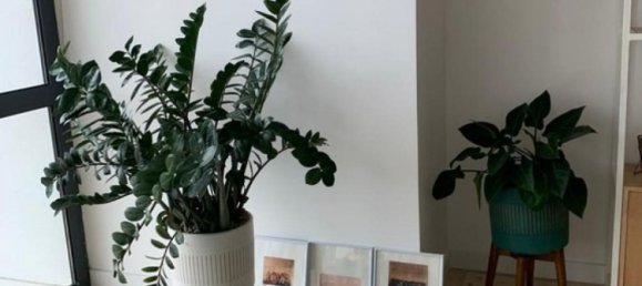 شقة 2 غرف نوم  في San Jose, Costa Rica رقم 735 4