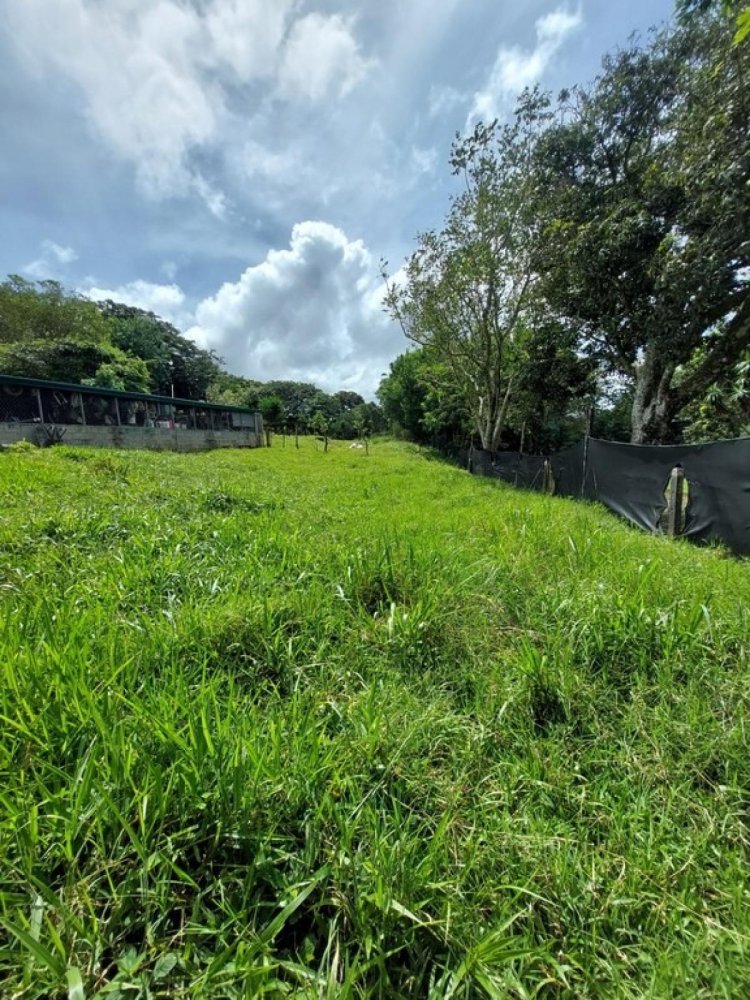  Land in Tilaran, Costa Rica No. 1743