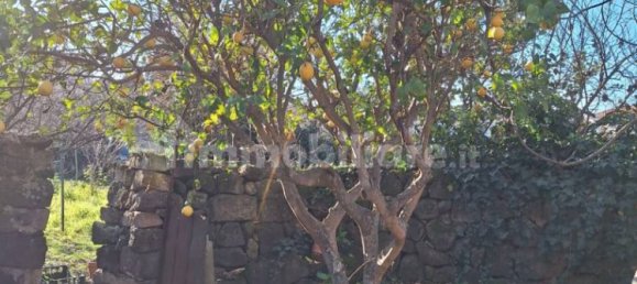 3 Schlafzimmer Haus in Suni, Italy, Nr. 82737 12