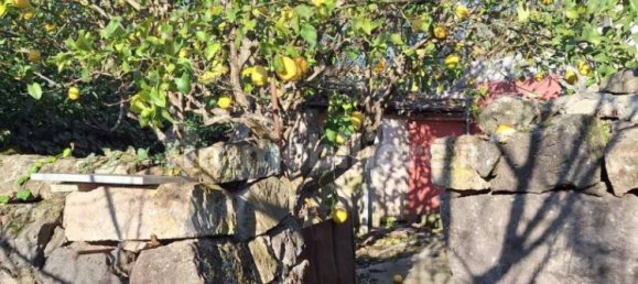 3 Schlafzimmer Haus in Suni, Italy, Nr. 82737 13