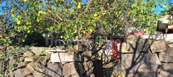 3 Schlafzimmer Haus in Suni, Italy, Nr. 82737 14