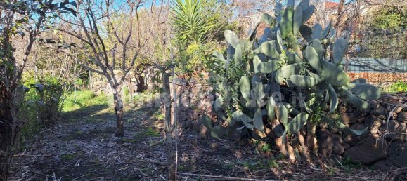 3 Schlafzimmer Haus in Suni, Italy, Nr. 82737 15