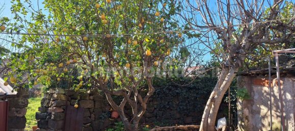 3 Schlafzimmer Haus in Suni, Italy, Nr. 82737 19