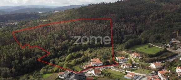 8 bedrooms House in Fafe, Portugal No. 13075 31