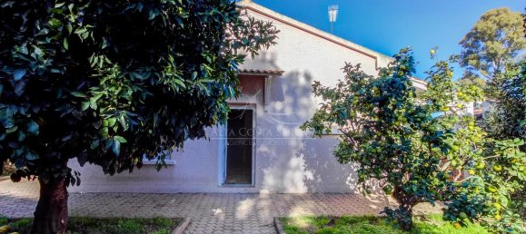 3 bedrooms House in Prunelli-di-Fiumorbo, France No. 223515 10