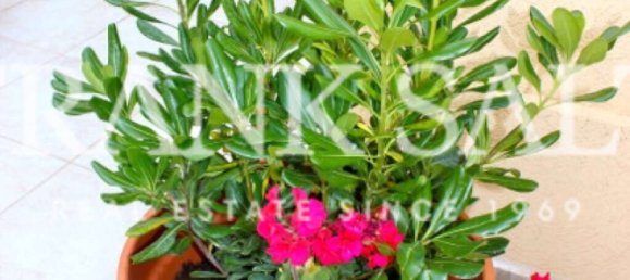 1 chambre Penthouse à Sliema, Malta No. 8599 4