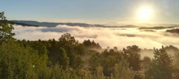 8 rooms Villa in Castel San Niccolò, Italy No. 60769 9