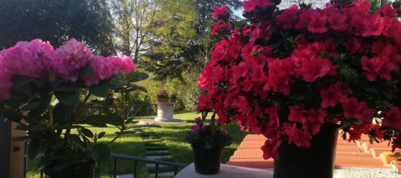 8 rooms Villa in Castel San Niccolò, Italy No. 60769 12