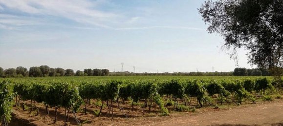 Edifício em Francavilla Fontana, Italy 900 m² N.º 9843 12