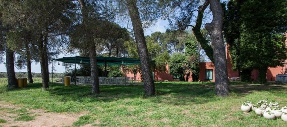 Edifício em Francavilla Fontana, Italy 900 m² N.º 9843 9