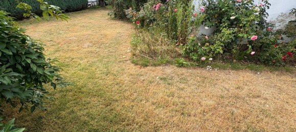 5 rooms House in Hoxter, Germany No. 120656 8