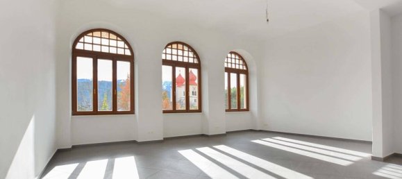 133m² Commercial property in Millstatt am See, Austria No. 253394 5