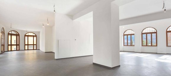 133m² Commercial property in Millstatt am See, Austria No. 253394 10