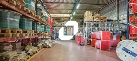 Коммерческая недвижимость 1220м² в Лисс, Франция № 346129 4