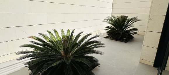 6 غرف نوم فيلا في Dehesa De Campoamor, Spain رقم 189292 35