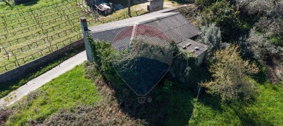 1 bedroom House in Pombeiro da Beira, Portugal No. 16598 9