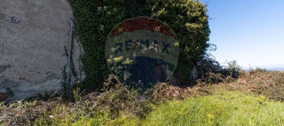 1 bedroom House in Pombeiro da Beira, Portugal No. 16598 19