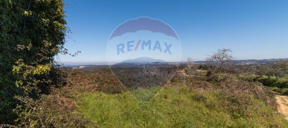 1 bedroom House in Pombeiro da Beira, Portugal No. 16598 18