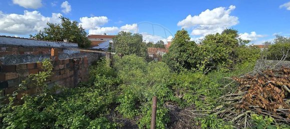 2 bedrooms House in Cano, Portugal No. 20868 7