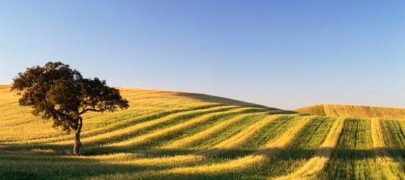 Terreno em Montecarotto, Italy 78500 m² N.º 75093 2