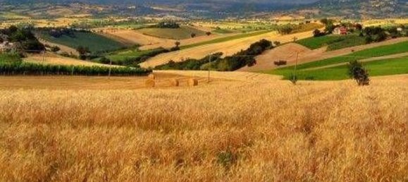 Terreno em Montecarotto, Italy 78500 m² N.º 75093 3