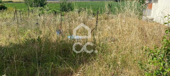 Grundstück in Riba de Ave, Portugal, Nr. 203174 5