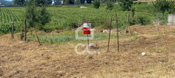 Grundstück in Riba de Ave, Portugal, Nr. 203174 20