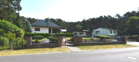 Земельный участок в Даме-Шпревальд, Германия № 24480 8