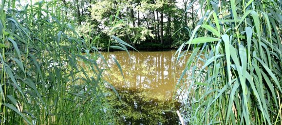 Земельный участок в Даме-Шпревальд, Германия № 24480 5