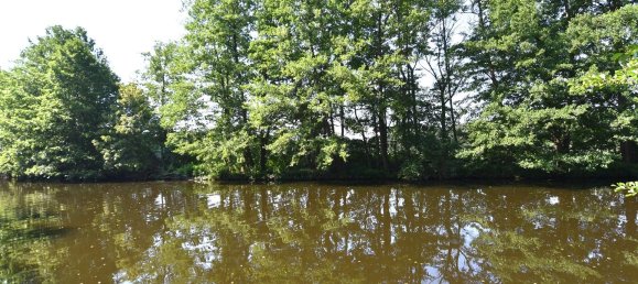 Земельный участок в Даме-Шпревальд, Германия № 24480 3