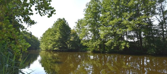 Земельный участок в Даме-Шпревальд, Германия № 24480 4