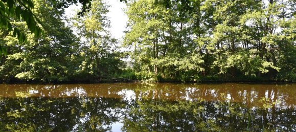 Земельный участок в Даме-Шпревальд, Германия № 24480 6