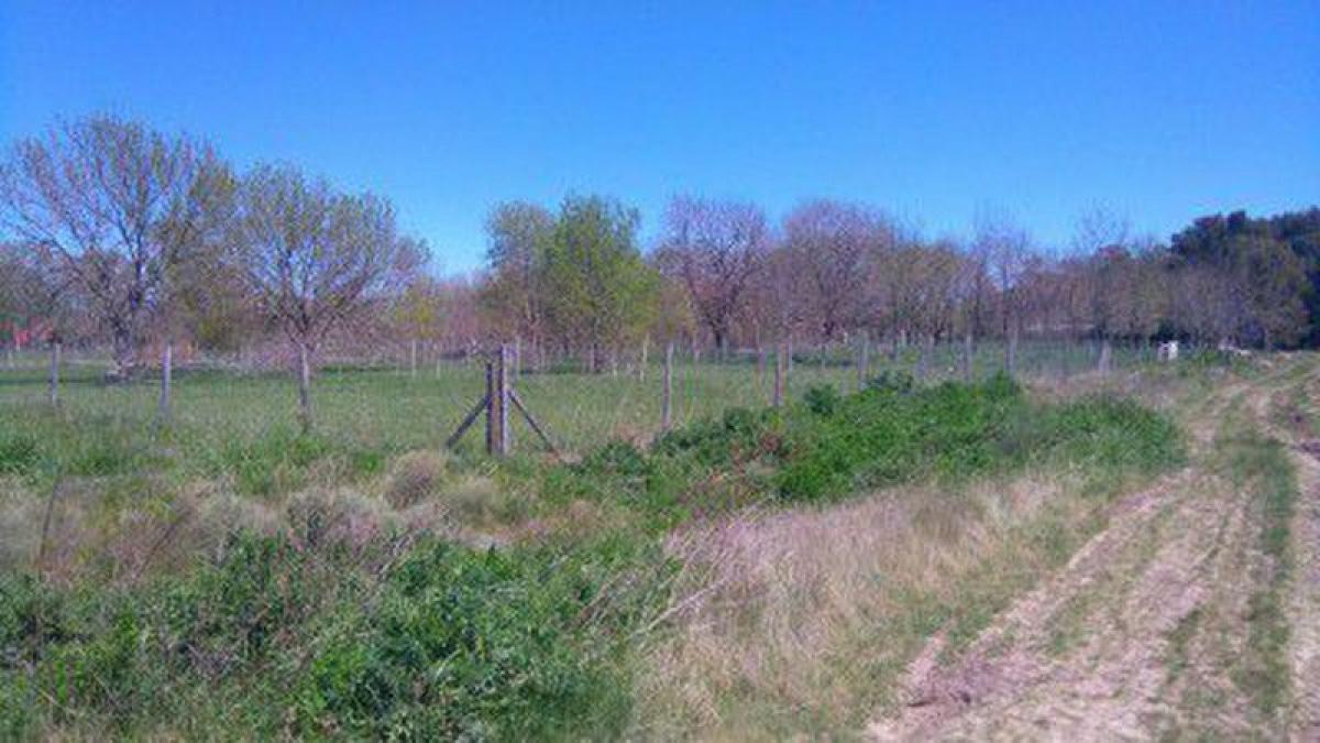 Grundstück in Chascomus, Argentina, Nr. 45553