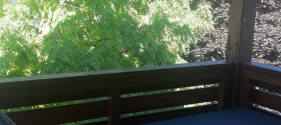 2 chambres Appartement à Pollau, Austria No. 99354 4