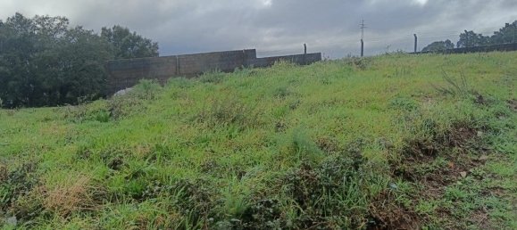 Terreno em Santo Tirso, Portugal 31109 m² N.º 51547 16