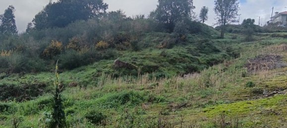 Terreno em Santo Tirso, Portugal 31109 m² N.º 51547 10