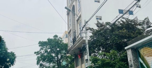 520m² House in District 7, Vietnam No. 7235 2