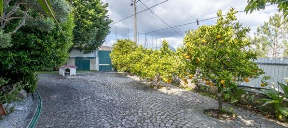 4 bedrooms House in Viseu, Portugal No. 183671 30